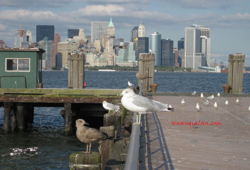 new york