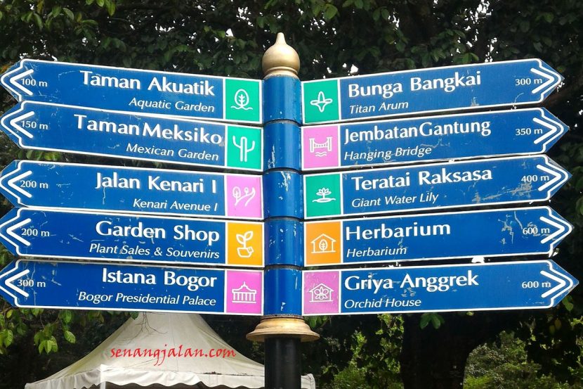 kebun raya bogor